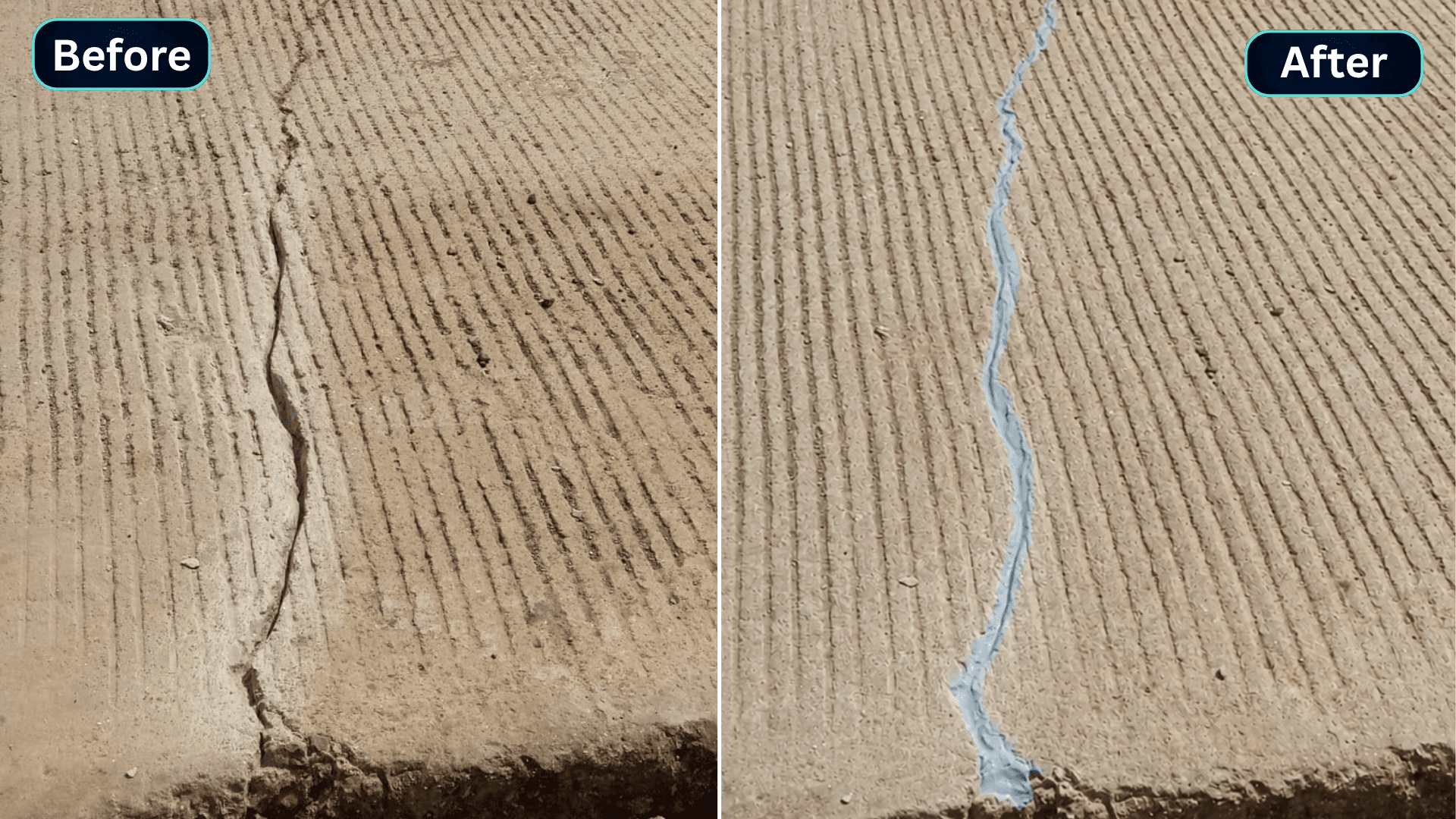 CRP site image